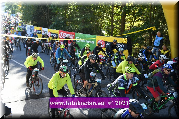 Náhled obrázku: 2021-1239-CTAuthor-1338,1337.JPG