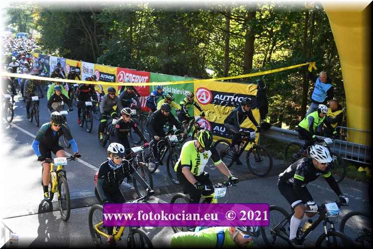 Náhled obrázku: 2021-1246-CTAuthor-1247,1383,1562,1476.JPG