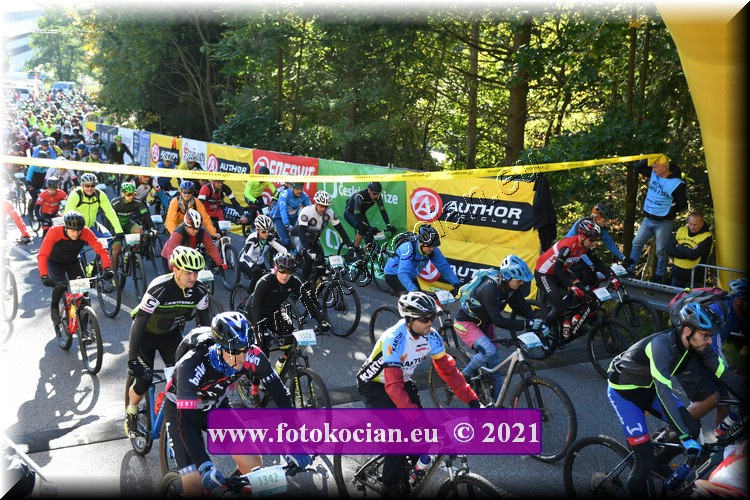 Náhled obrázku: 2021-1259-CTAuthor-1572,1451,1342.JPG