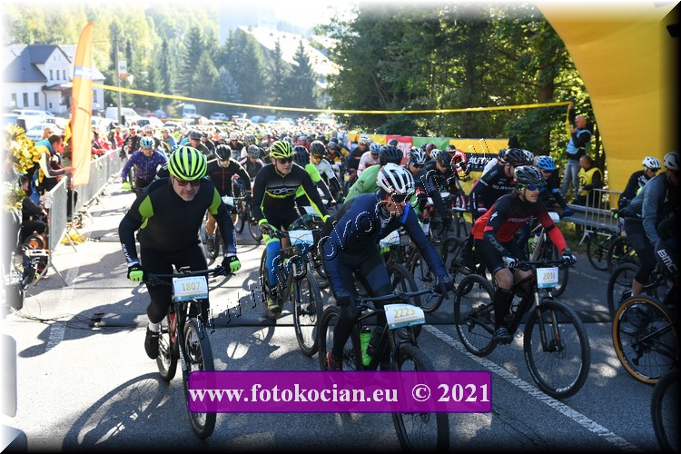 Náhled obrázku: 2021-1319-CTAuthor-2223,1807,2016.JPG