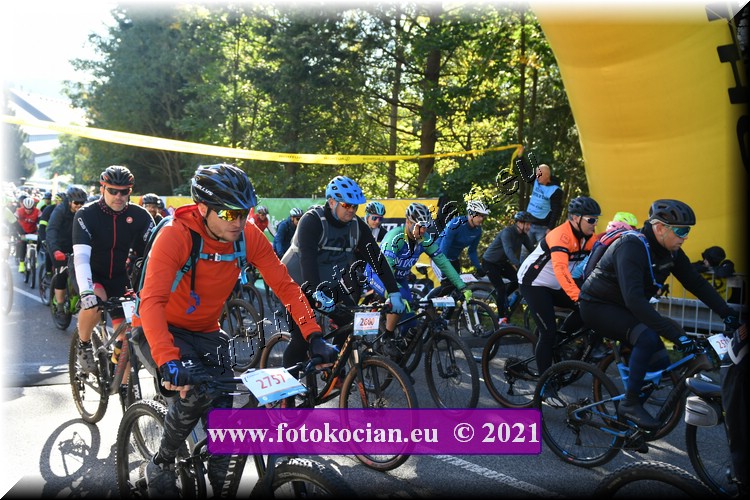 Náhled obrázku: 2021-1432-CTAuthor-2757,2600.JPG