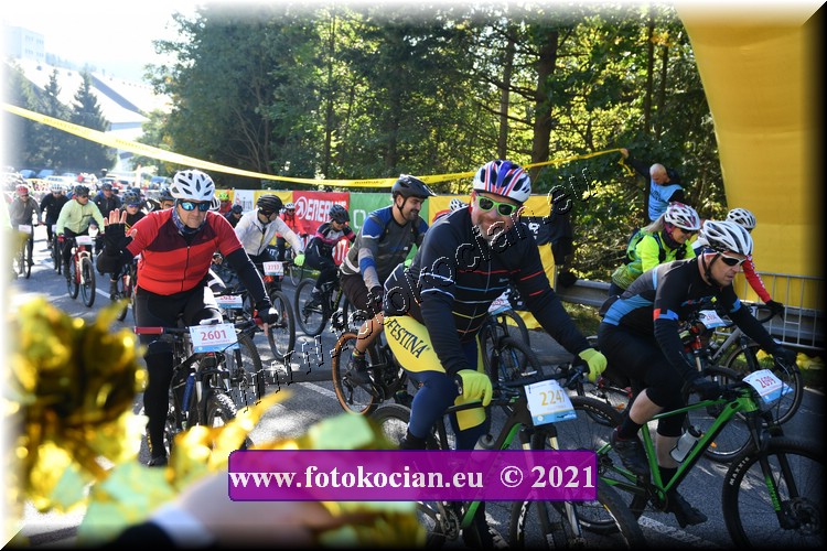 Náhled obrázku: 2021-1449-CTAuthor-2247,2601.JPG