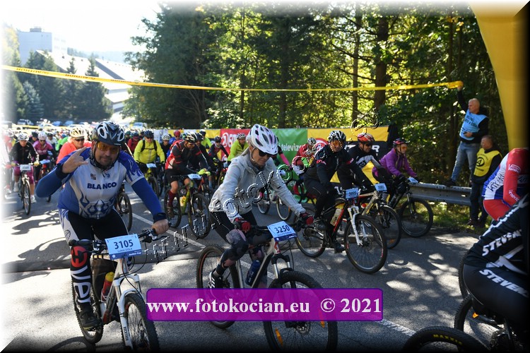 Náhled obrázku: 2021-1529-CTAuthor-3250,3105.JPG