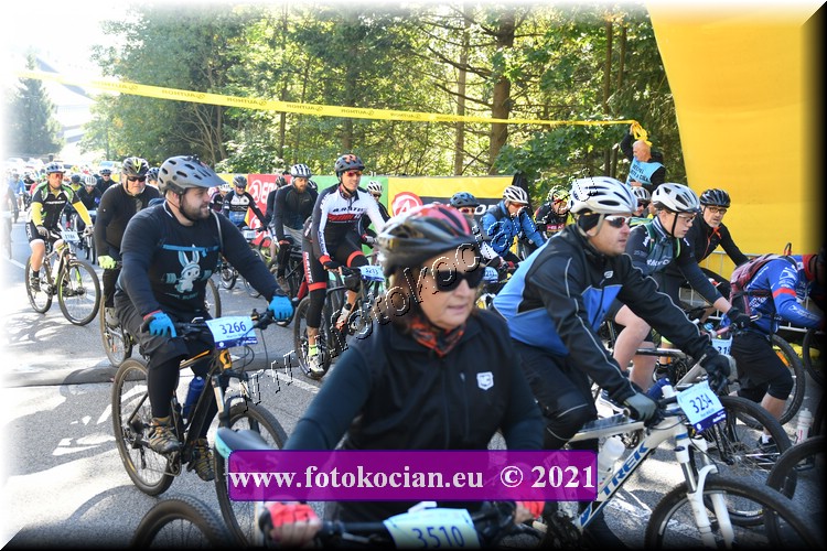 Náhled obrázku: 2021-1559-CTAuthor-3266.JPG