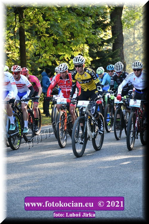 Náhled obrázku: 2021-8474-CTAuthor-9,25.JPG