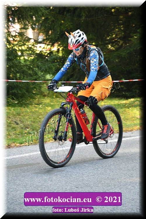 Náhled obrázku: 2021-8627-CTAuthor-0.JPG