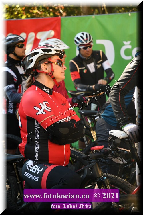 Náhled obrázku: 2021-8953-CTAuthor-0.JPG