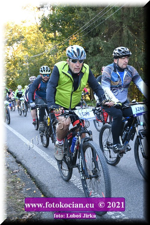 Náhled obrázku: 2021-9037-CTAuthor-3509,3288.JPG