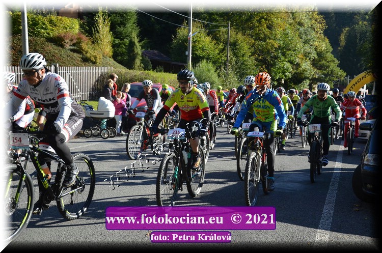 Náhled obrázku: 2021-9561-CTAuthor-235,253.JPG