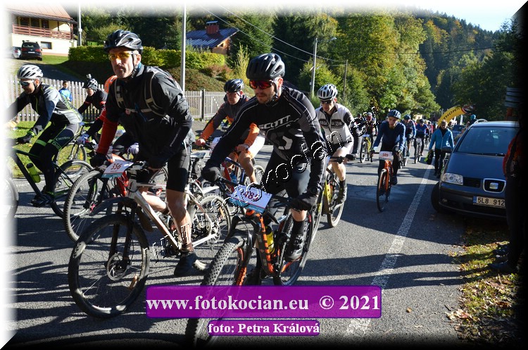 Náhled obrázku: 2021-9576-CTAuthor-485,356.JPG