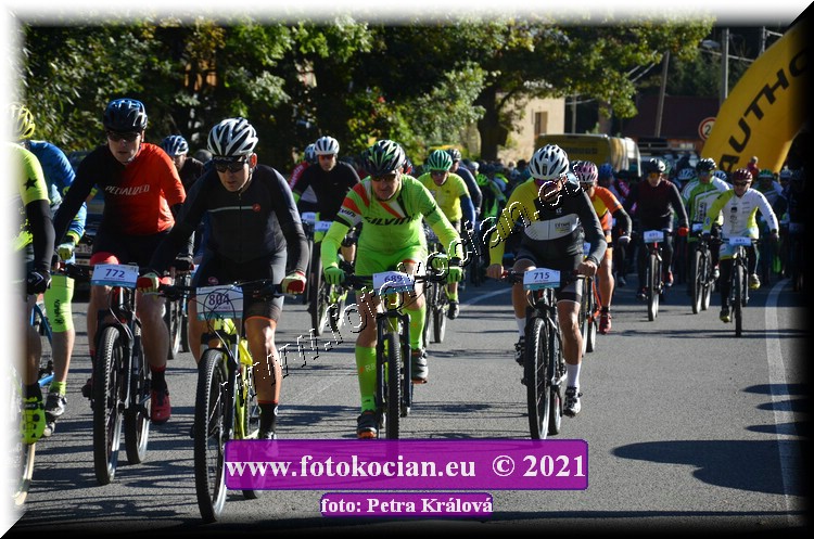 Náhled obrázku: 2021-9586-CTAuthor-772,804,689,715.JPG