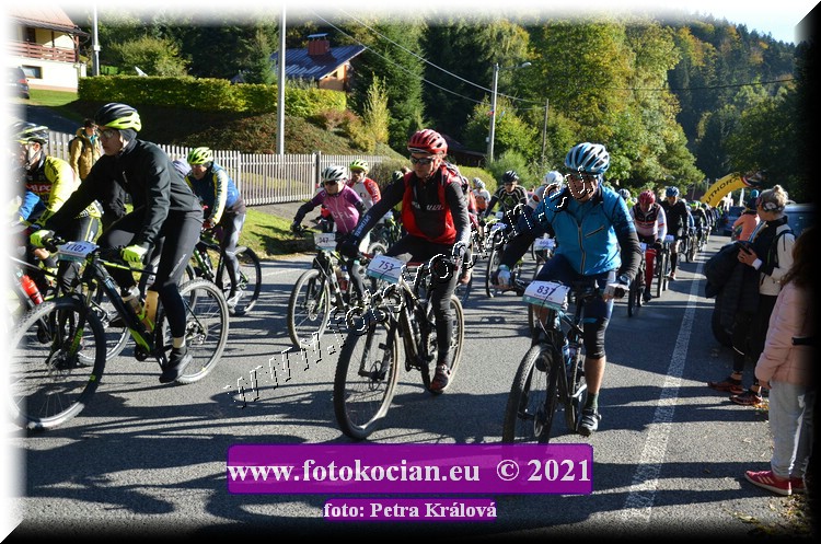 Náhled obrázku: 2021-9599-CTAuthor-753,837.JPG