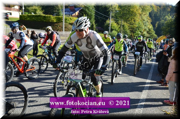 Náhled obrázku: 2021-9603-CTAuthor-654,693.JPG