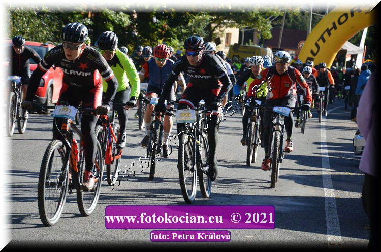 Náhled obrázku: 2021-9762-CTAuthor-1990,1991.JPG