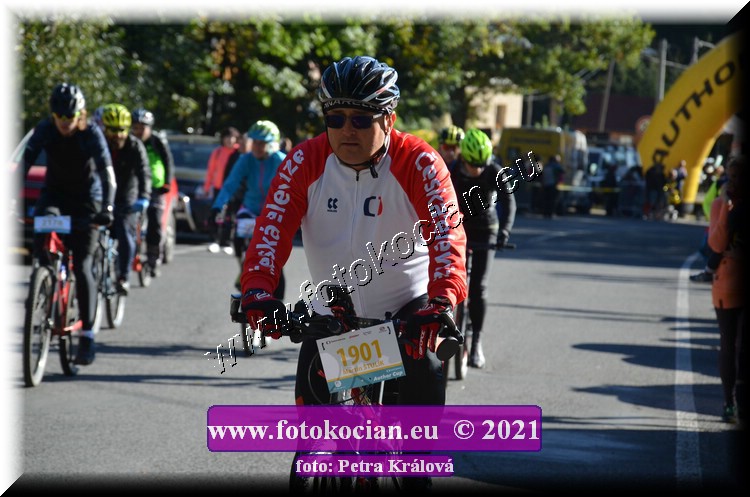 Náhled obrázku: 2021-9848-CTAuthor-1901.JPG