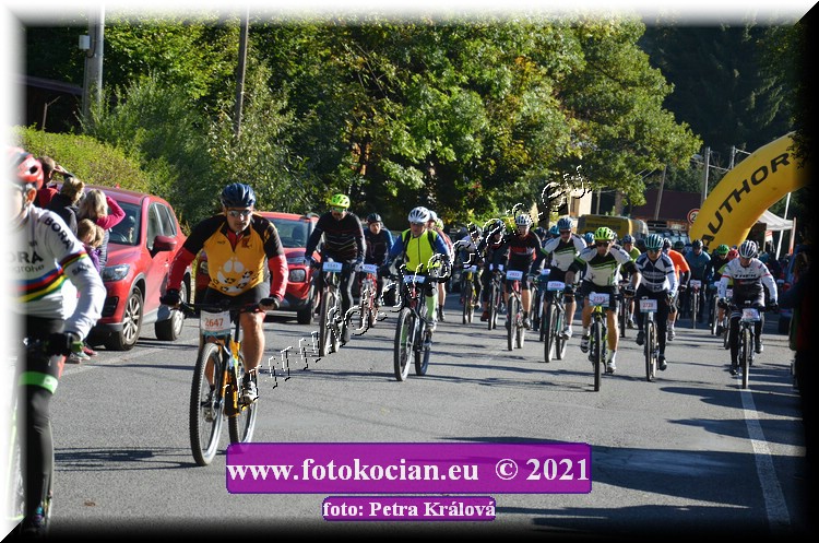 Náhled obrázku: 2021-9855-CTAuthor-2577,2593,2728.JPG