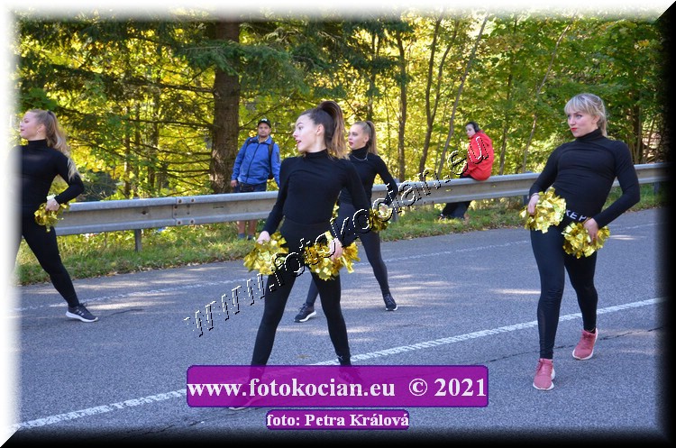 Náhled obrázku: 2021-9946-CTAuthor-.JPG