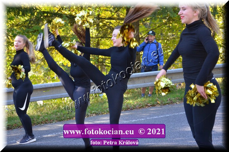 Náhled obrázku: 2021-9948-CTAuthor-.JPG