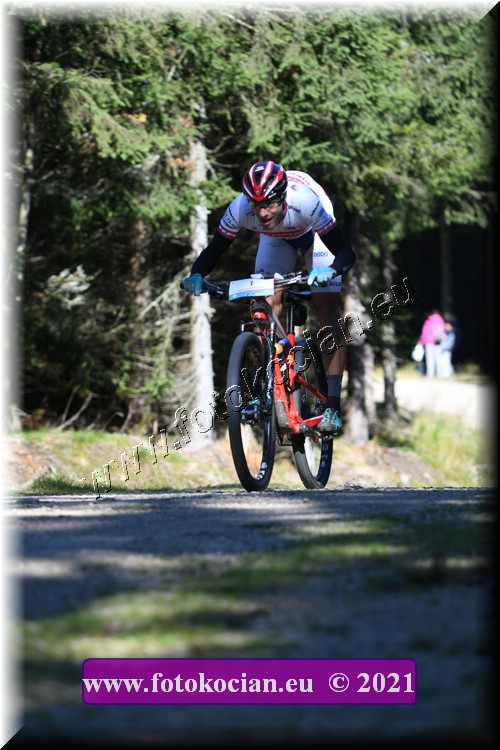 Náhled obrázku: 2021-1590-CTAuthor-1.JPG