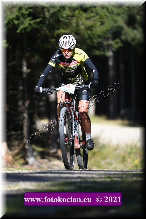 Náhled obrázku: 2021-1704-CTAuthor-390.JPG