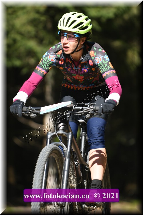 Náhled obrázku: 2021-2129-CTAuthor-0.JPG