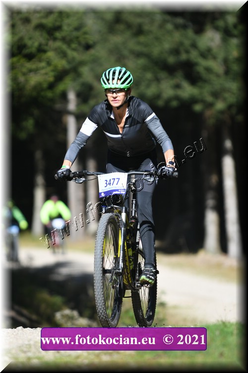 Náhled obrázku: 2021-2512-CTAuthor-3477.JPG