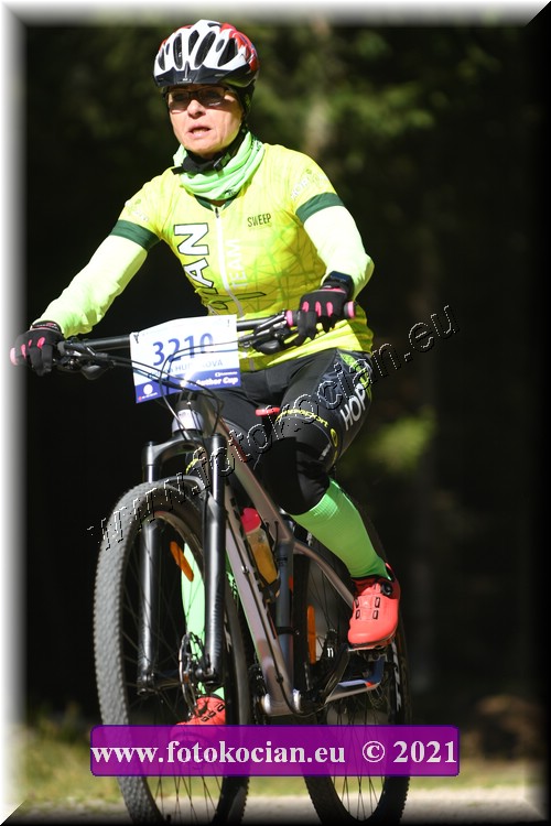 Náhled obrázku: 2021-3278-CTAuthor-3210.JPG