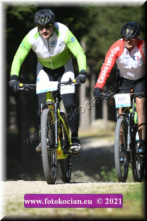 Náhled obrázku: 2021-3556-CTAuthor-1245.JPG