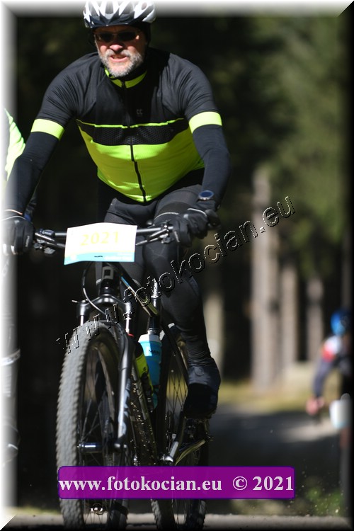 Náhled obrázku: 2021-3837-CTAuthor-2021.JPG