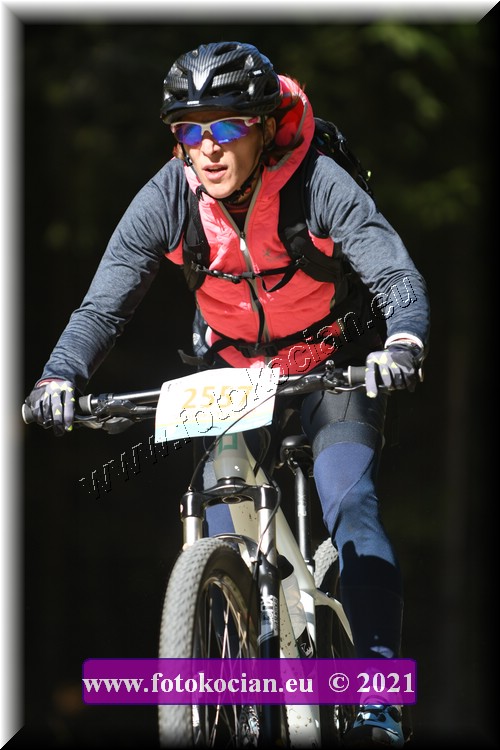 Náhled obrázku: 2021-4330-CTAuthor-2557.JPG