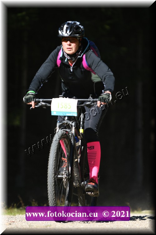 Náhled obrázku: 2021-4465-CTAuthor-1585.JPG