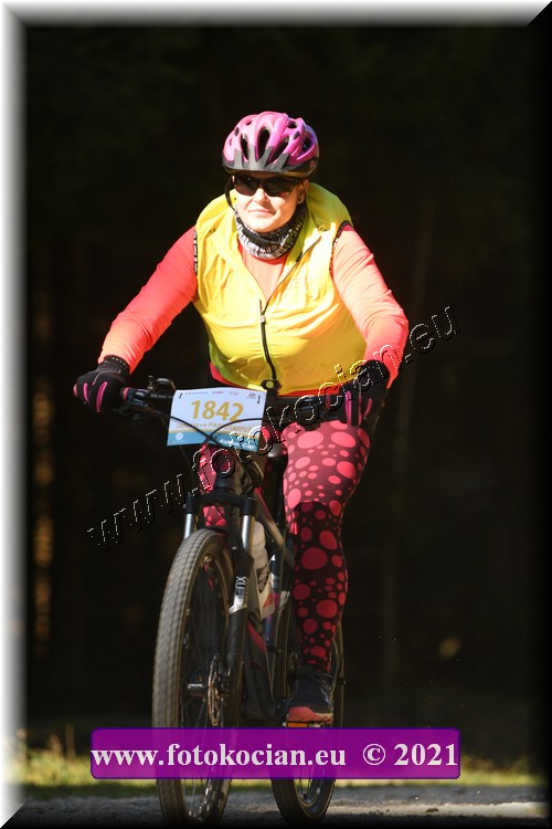 Náhled obrázku: 2021-5004-CTAuthor-1842.JPG