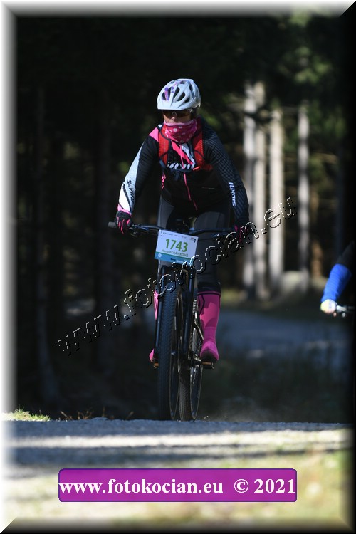 Náhled obrázku: 2021-5060-CTAuthor-1743.JPG