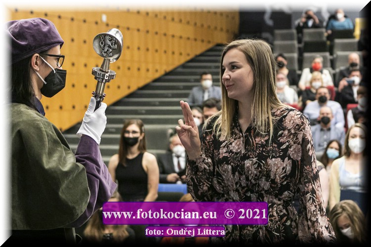 Náhled obrázku: _60A9818.jpg