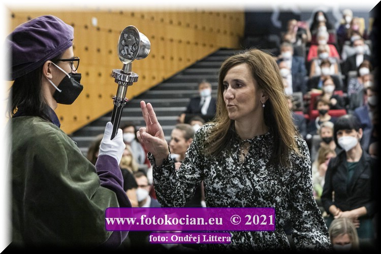 Náhled obrázku: _60A0056.jpg