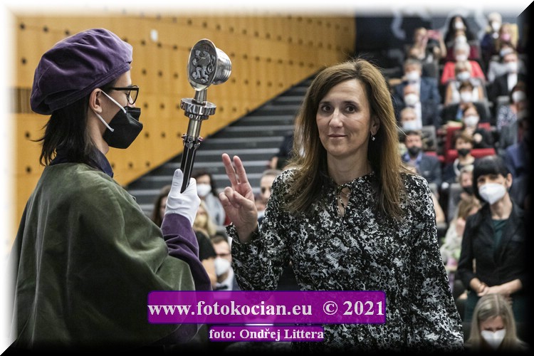 Náhled obrázku: _60A0058.jpg