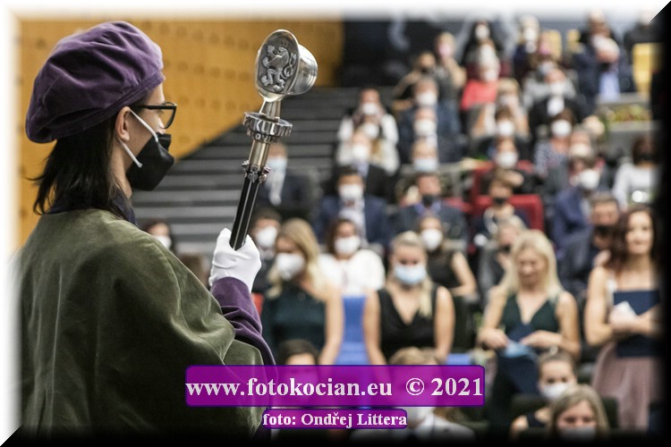 Náhled obrázku: _60A0230.jpg