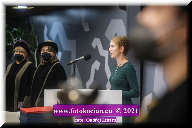 Náhled obrázku: _60A9917.jpg