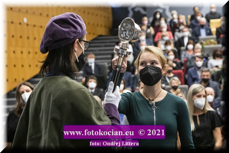 Náhled obrázku: _60A9921.jpg