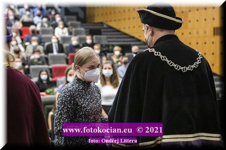 Náhled obrázku: _60A9936.jpg