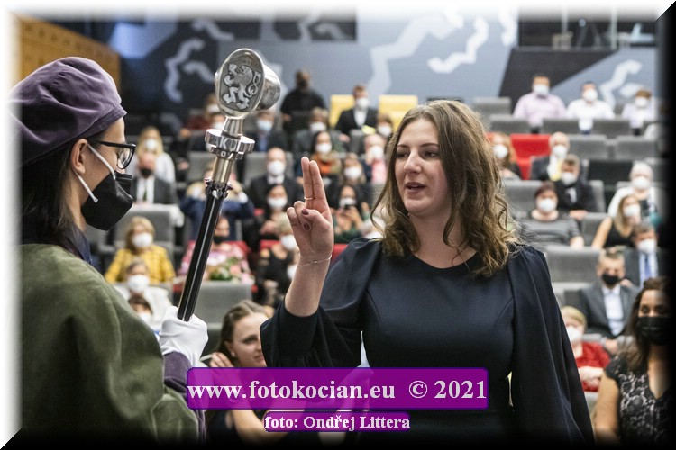 Náhled obrázku: _60A0441.jpg