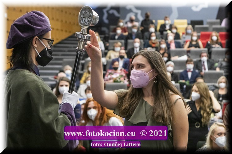 Náhled obrázku: _60A0467.jpg