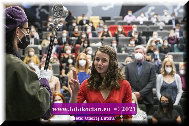 Náhled obrázku: _60A0482.jpg