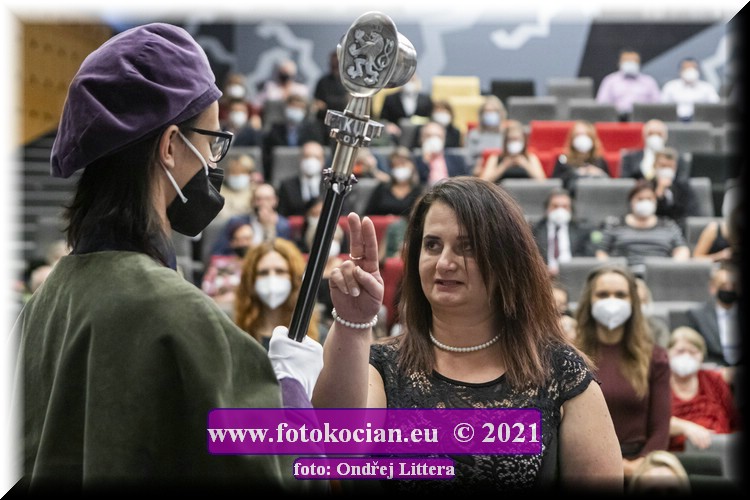 Náhled obrázku: _60A0544.jpg