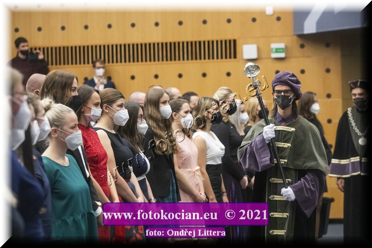 Náhled obrázku: _60A0777.jpg