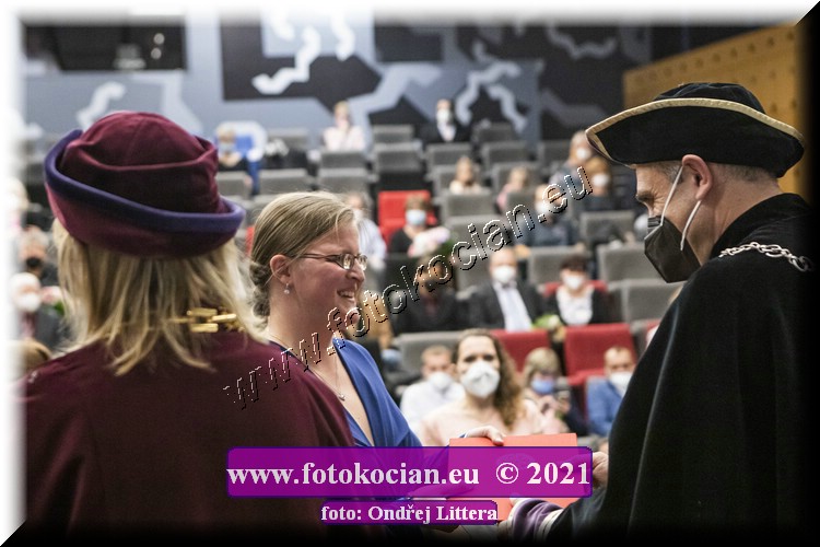 Náhled obrázku: _60A0811.jpg