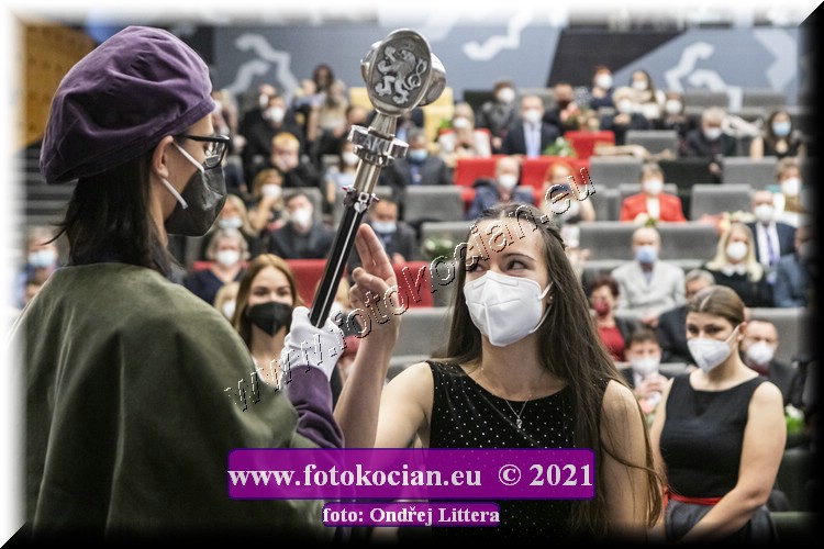 Náhled obrázku: _60A0828.jpg