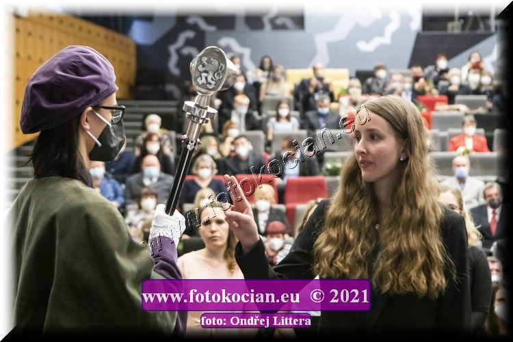 Náhled obrázku: _60A0884.jpg