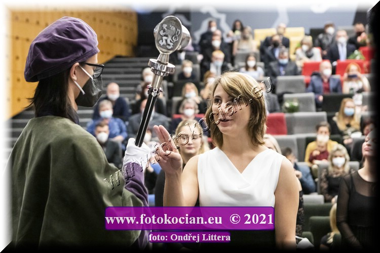 Náhled obrázku: _60A0903.jpg