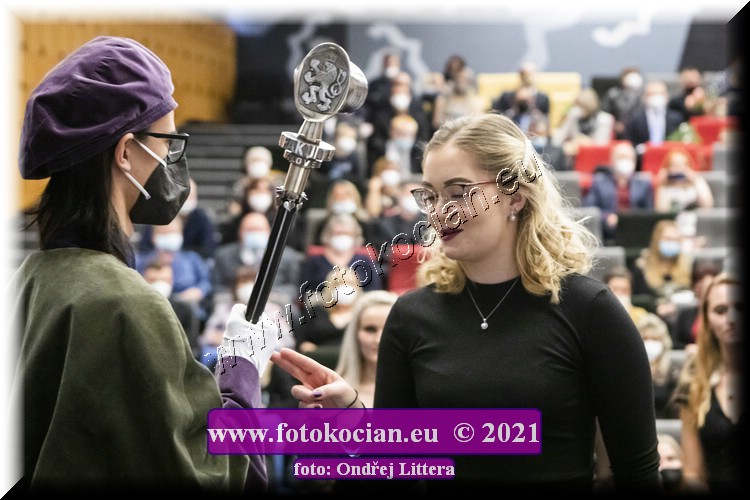 Náhled obrázku: _60A0909.jpg